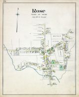 Rose 002, Wayne County 1904